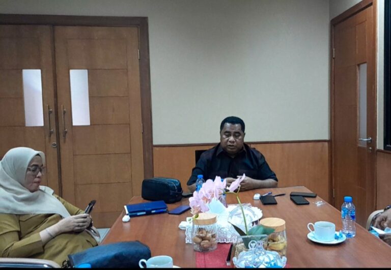 Screenshot_20250108_105238_Video Player