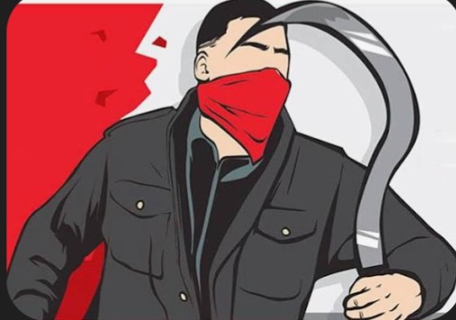 Screenshot_20251121_180856_Google