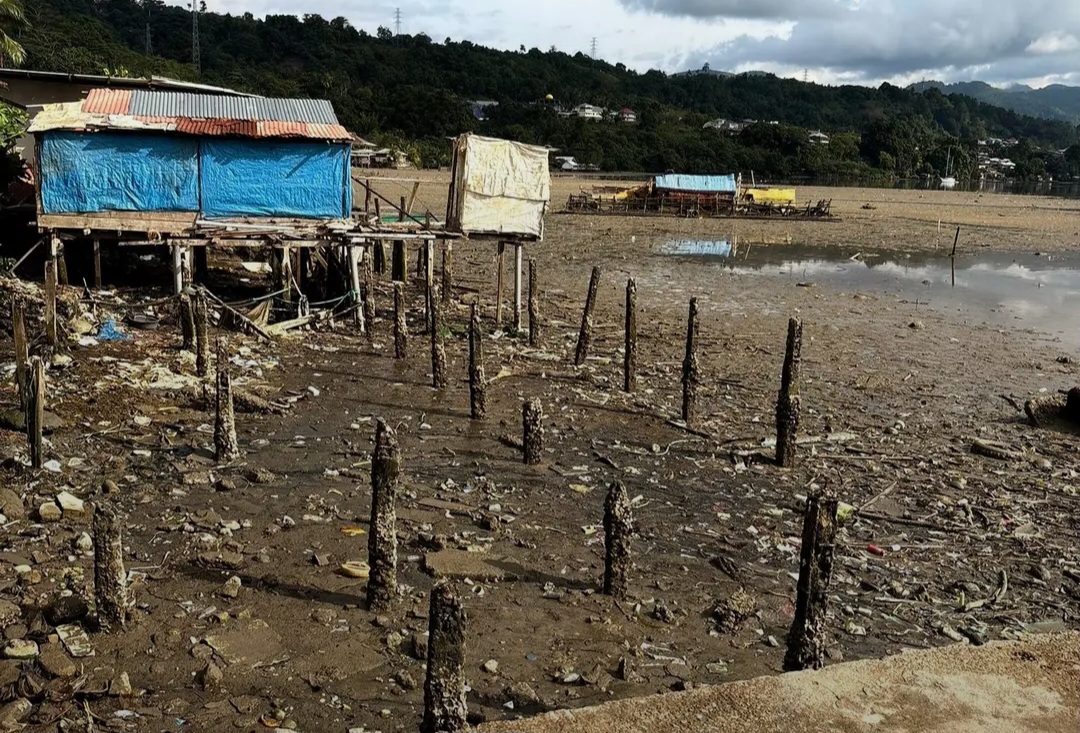 Screenshot_20251124_091955_Lite