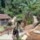 IMG-20261030-WA0008